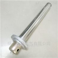 SRY4 380V2KW浸入式管状加热器