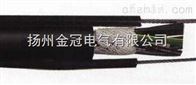 GJDL-PB/35KV高压绝缘电线电缆（定做带屏蔽）